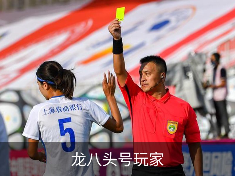 龙八(头号玩家)唯一官方网站